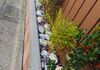 IMG_20241201_100837436